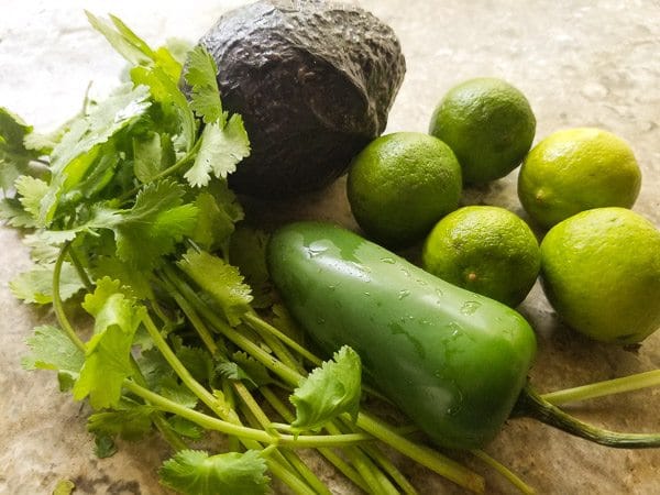 Ingredients for Avocado Margarita