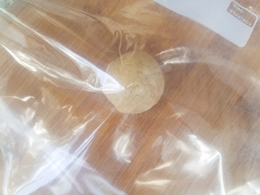 Dough ball placed in between ziploc bag to flatten into disc for Gorditas de Azucar