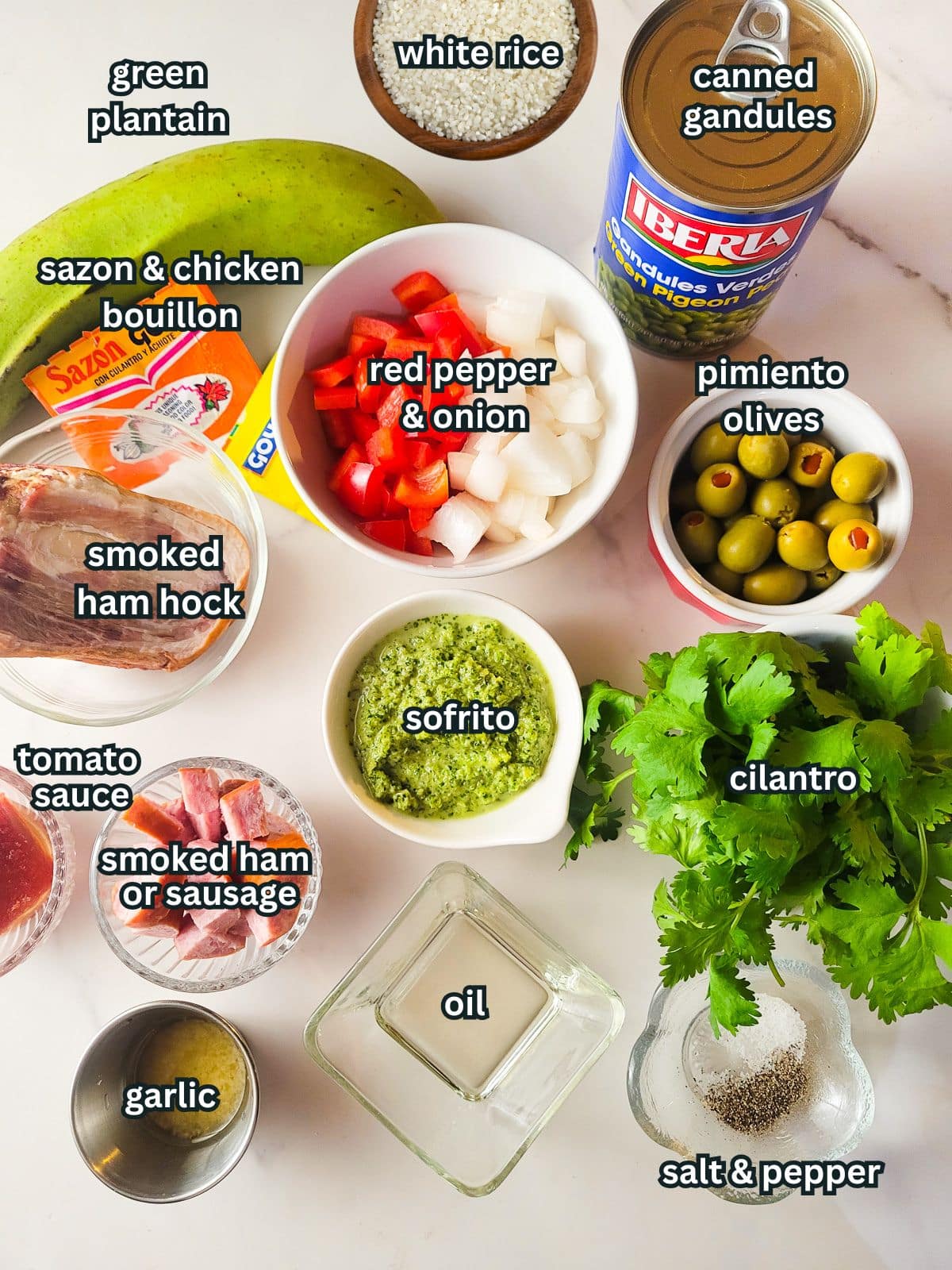 An image of all the ingredients to make Puerto Rican asopao de gandules.