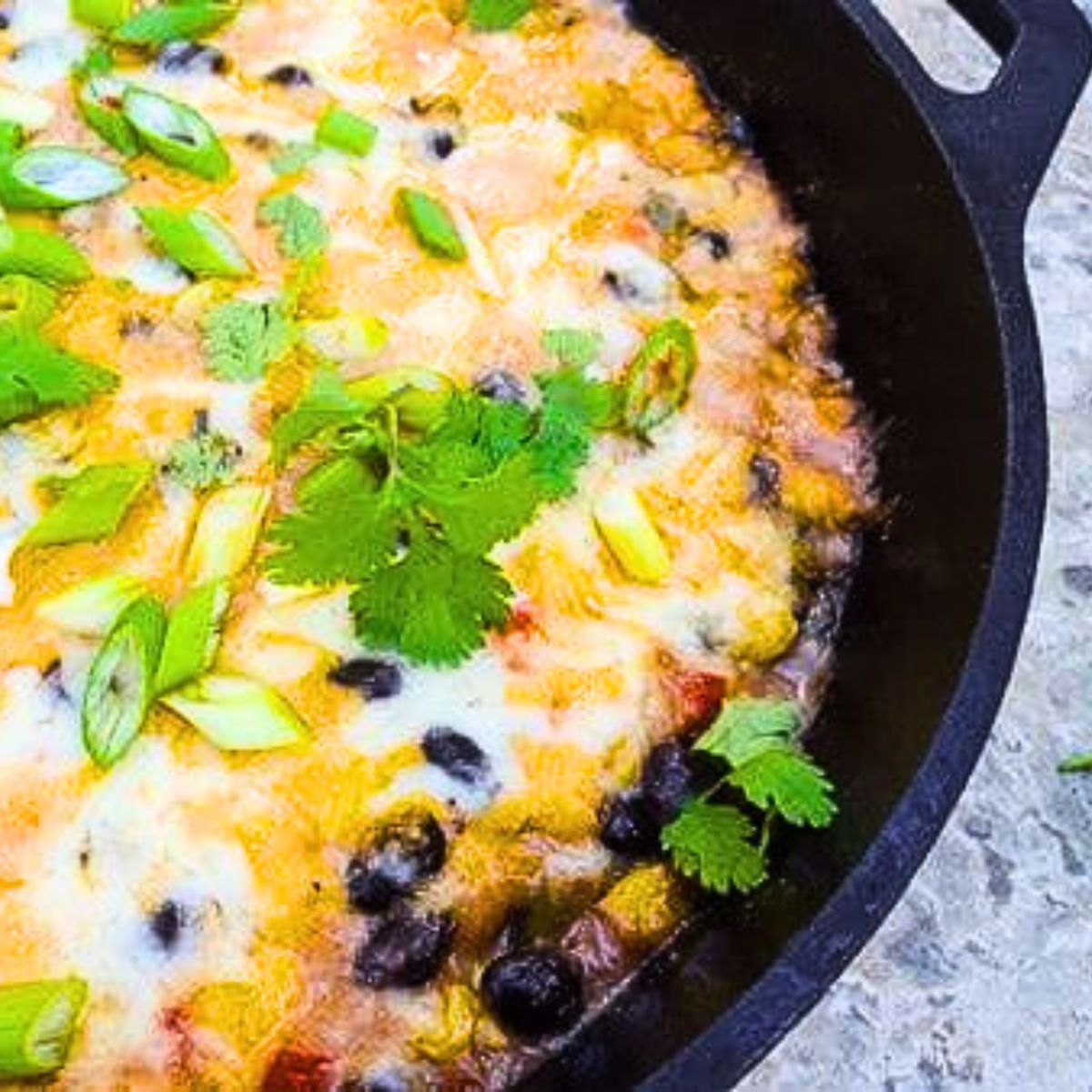 Black Bean Corn Dip Mexican Appetizers and More!