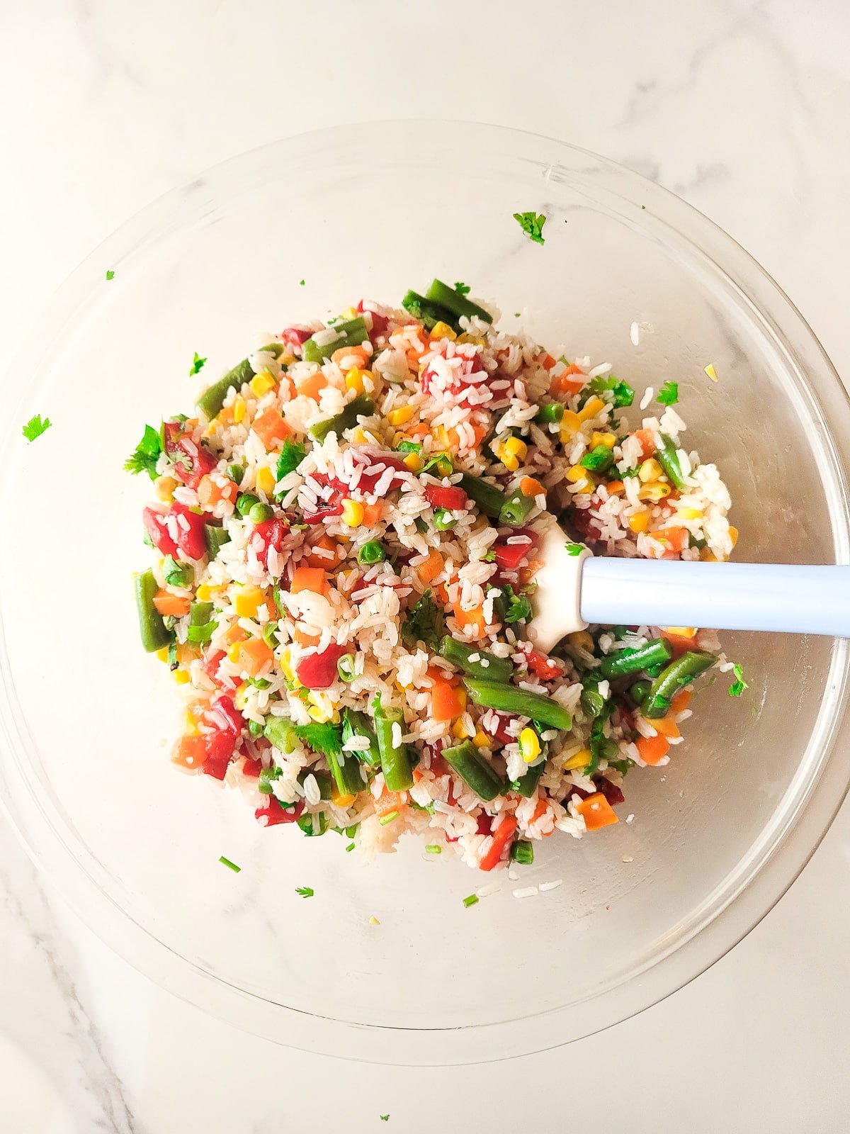 All the ingredients well combined for the salad.